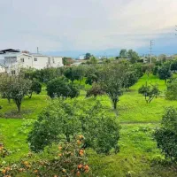 باغ-مرکبات-2000-متری-اقساط-یکساله