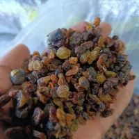 کشمش ابگیری|خوردنی و آشامیدنی|ملایر, |دیوار