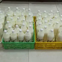 فروش دوغ محلی کارگاهی دونیم ۱۳۰ هر روز