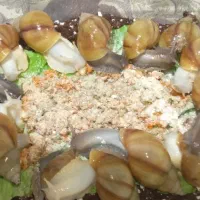 فروش حلزون طبی|خزنده|محمدشهر, همایون ویلا|دیوار