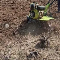 باغبانی سمپاشی تیلرزنی گلکاری هرس کاری کودهی