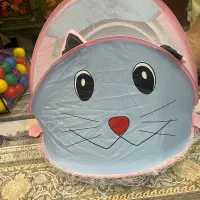 پشه بند