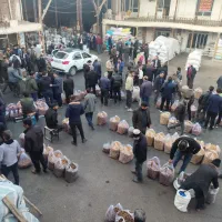 مغز گردو ایرانی|خوردنی و آشامیدنی|قم, انصار‌الحسین|دیوار