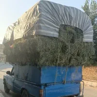 پرس یونجه خشک درجه یک بدون علف