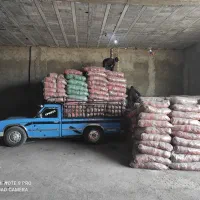 استخدام ویزیتور خانم