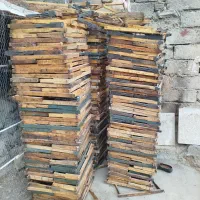 قاب|لوازم جانبی حیوانات|خزل, |دیوار