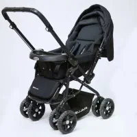 کالسکه دلیجان