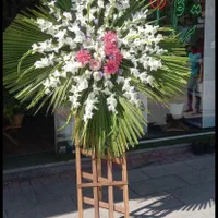 پایه گل ترحیم وتبریک|گل و گیاه طبیعی|مشهد, آبکوه|دیوار