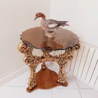 مجسمه پرنده اردک
