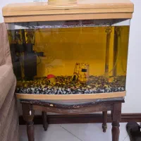 فروش آکواریوم ماهیران