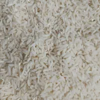 برنج طارم هاشمی