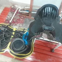 وسایل سوار کاری|اسب و تجهیزات اسب‌سواری|اهر, |دیوار