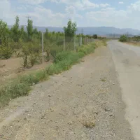 زمین دشت بجد|فروش دفتر صنعتی، کشاورزی، تجاری|بیرجند, |دیوار