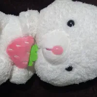 عروسک های نو و بامزه