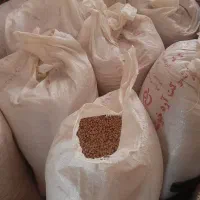 لوبیا چیتی درجه یک برداشت امسال|خوردنی و آشامیدنی|شهرکرد, |دیوار