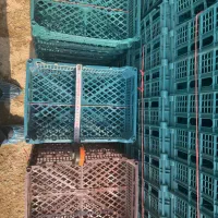 سبد مناسب ذغال ‌|ظروف نگهدارنده، پلاستیکی، یک‌بارمصرف|هشتگرد, تهران دشت|دیوار