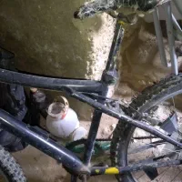 دوچرخه 24|دوچرخه، اسکیت، اسکوتر|بجنورد, |دیوار