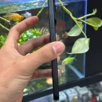 x7pro|موبایل|شیراز, زند|دیوار