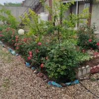 فروش آپارتمان تک واحدی خیابان شیخ بهایی