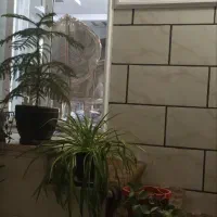 ۸۰متر طبقه اول یک خواب فول خیابان لاله پل امامزاده|فروش آپارتمان|اصفهان, سودان|دیوار