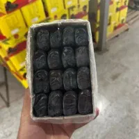 خرمای مضافتی بم