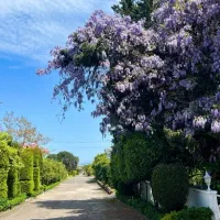 نظافت حرفه ای خانه ، ویلا ، راه پله به صورت تخصصی