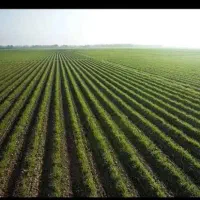 انواع-زمین-باابعادوبودجه-های-متنوع-از-کوچک-تا-بزرگ