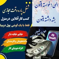 درآمد تضمینی باحرفه ای ها در منزل