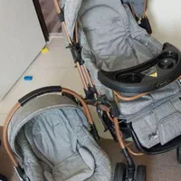 کالسکه و کریر دلیجان در حد نو