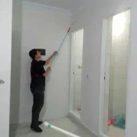 نقاش حرفه ای
