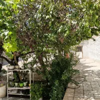 خانه-فروشی