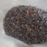 کشمش آفتابی امسال