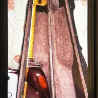 تار حرفه ای