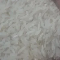 برنج فجر سوزنی|خوردنی و آشامیدنی|بندر ترکمن, |دیوار