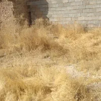 زمین با اسکلت|فروش زمین و ملک کلنگی|شیراز, شهرک کوشکک|دیوار