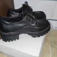 کفش نو|کیف، کفش، کمربند|نجفآباد, کهریزسنگ|دیوار