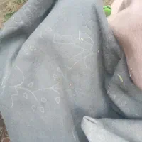 موکت برجسته