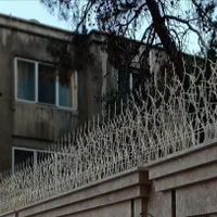 حفاظ شاخ گوزنی|خدمات پیشه و مهارت|اردبیل, |دیوار
