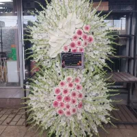 قبولکلیهسفارشاتبهصورتتلفنی