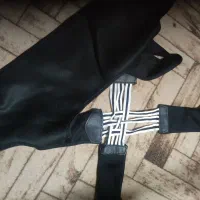 قوزبند طبی ، طرح ضبدری