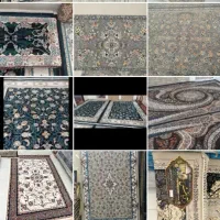 گالری فرش امیر|فرش|سنندج, |دیوار