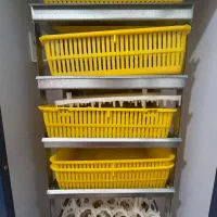 دستگاه جوجه کشی ۲۱۰عددی|لوازم جانبی حیوانات|بابل, |دیوار