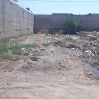 فروش زمین طلا ۳۱۰ متری با کمترین قیمت در ام تمیر|فروش زمین و ملک کلنگی|اهواز, اسماعیلیه|دیوار
