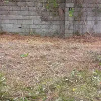 علف تراشی  با دستگاه  ، باغ  حیاط