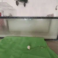 دو عدد اکواریوم