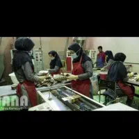 نیرو خانم جهت کار در خط تولید و بسته بندی