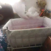 تخت کودک|اسباب و اثاث بچه|شیراز, قلعه نو|دیوار