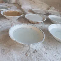 بدنبال شاگرد