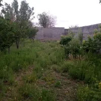 زمین باغی دور دیوار روستای جهانکوب|فروش زمین و ملک کلنگی|مشهد, توس فردوسی|دیوار