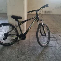 دوچرخه viva